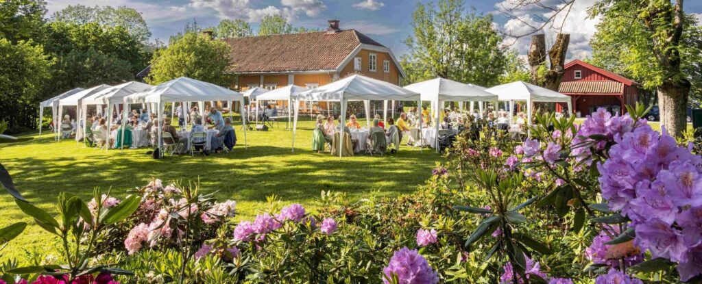 en vakker og solrik dag i hagen